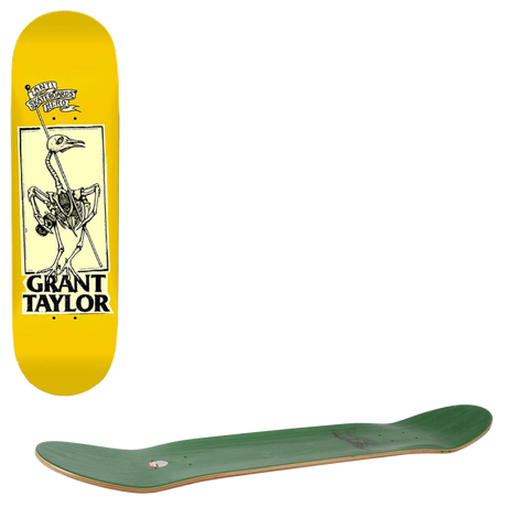 Anti Hero Pigeon Vision Skateboard Deck - Taylor 8.25"