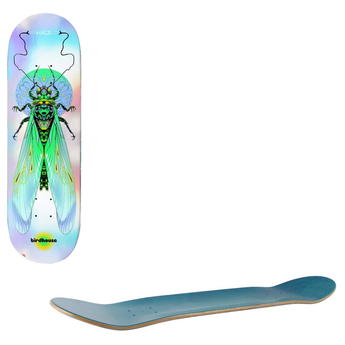 Birdhouse Pro Skateboard Deck - Hale Ilham Insects 8.75"