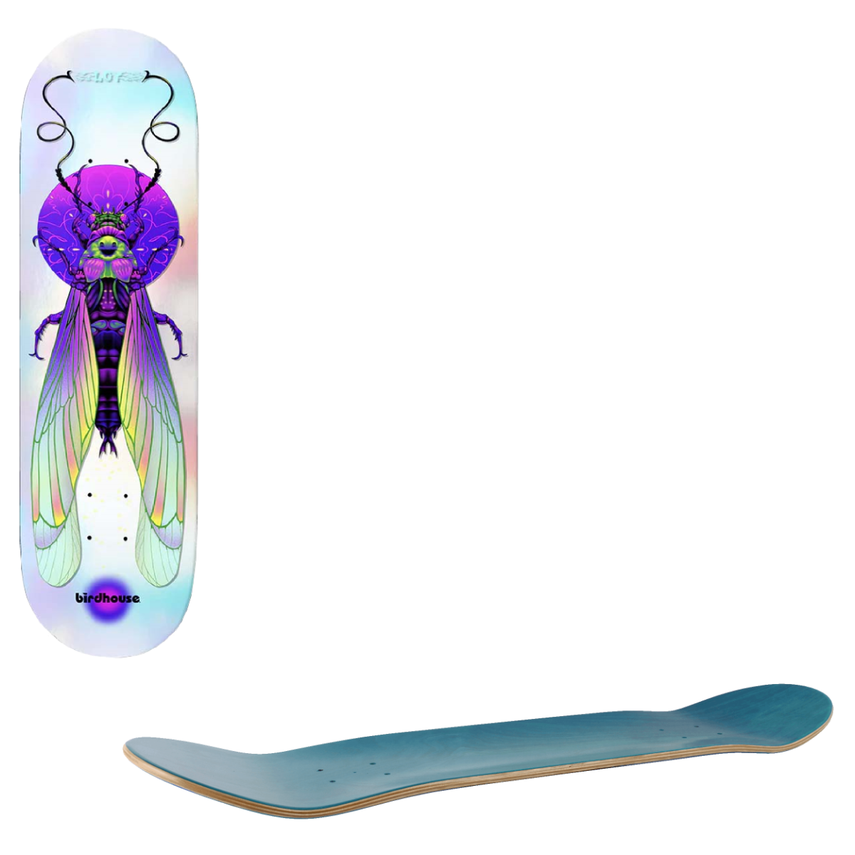 Birdhouse Pro Skateboard Deck - Loy Ilham Insects 8.5"