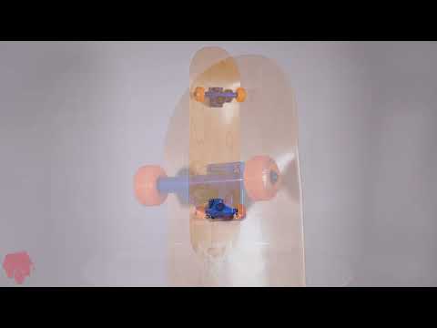 Enuff Bold Custom Skateboard - Natural/Blue/Orange 8.25''