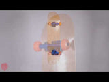 Enuff Bold Custom Skateboard - Natural/Blue/Orange 8.25''