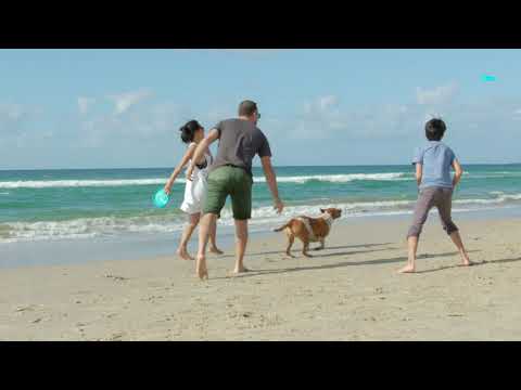 Waboba Woofpack