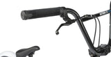 Radio Astron FS 20" BMX Stunt Bike