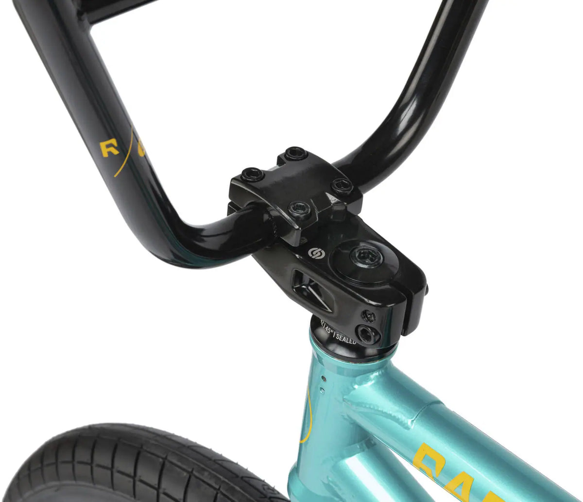 Radio Darko 20" BMX Stunt Bike