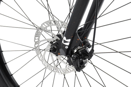Radio Legion 26" Wheelie Bike