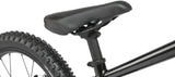 Radio Zuma 20" MTB For Kids