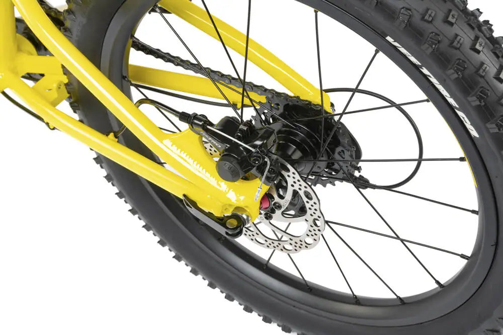 Radio Zuma 20" MTB For Kids