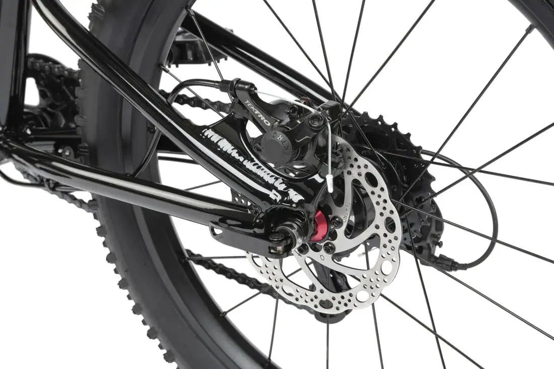 Radio Zuma 20" MTB For Kids