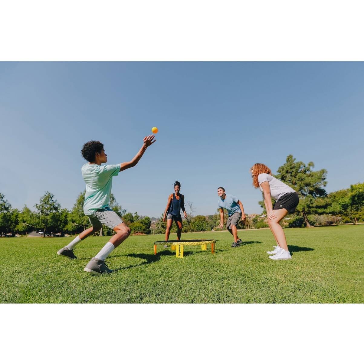 Spikeball Family Set